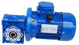 worm gear motor.jpg