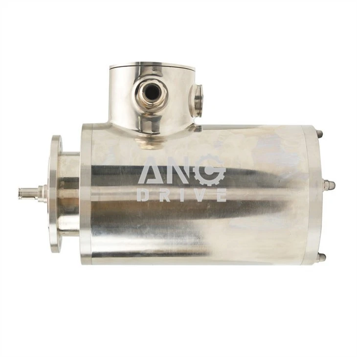 Stainless Steel Electric Motor
