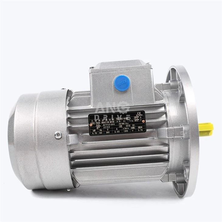 0.5HP three phase Motor