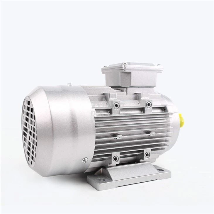 2HP Electric Motor