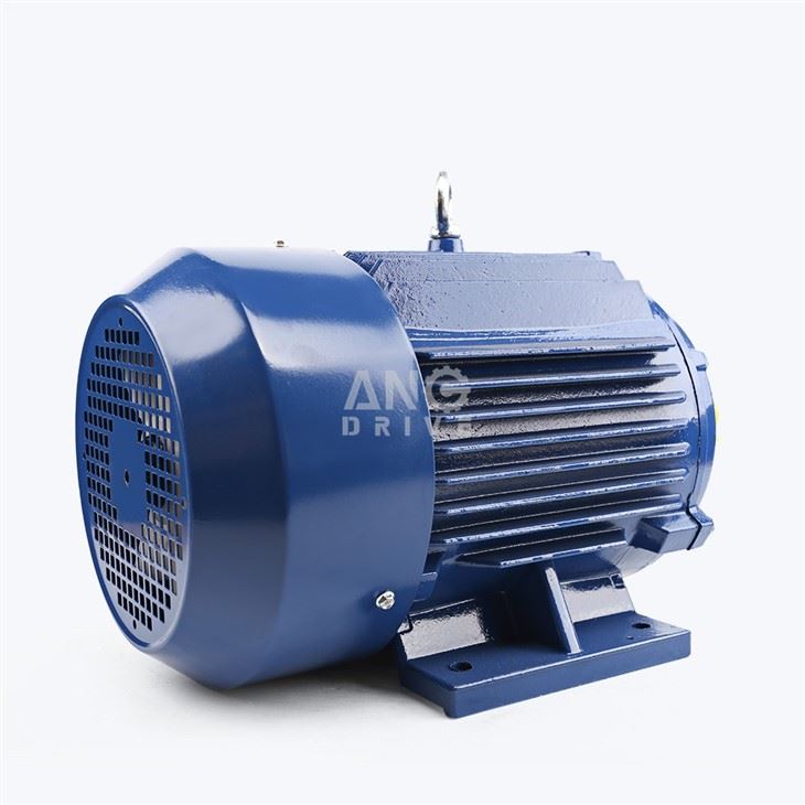 2HP Electric Motor