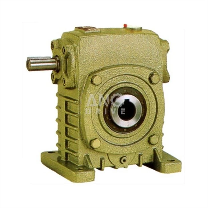 WPKS worm gearbox
