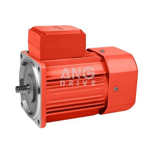 Eenvoudige WISSELstroommotor