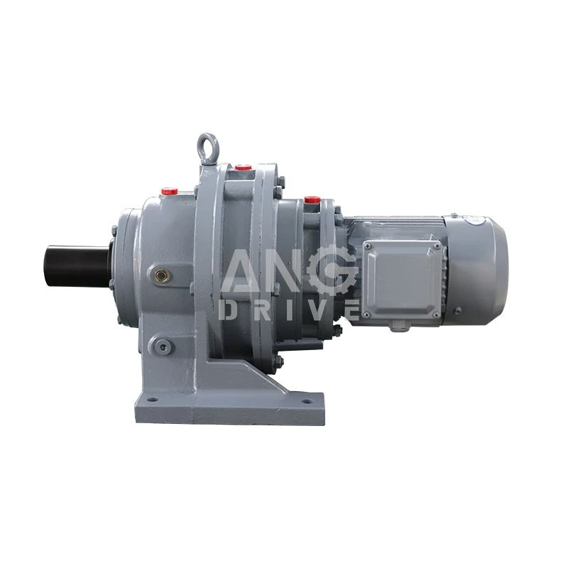 Cycloidal gear motor